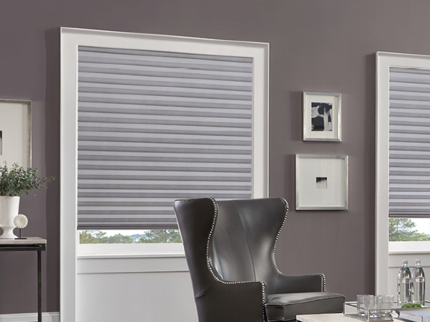 Cellular Shades Boise, Meridian, ID Meridian, ID Treasure Valley